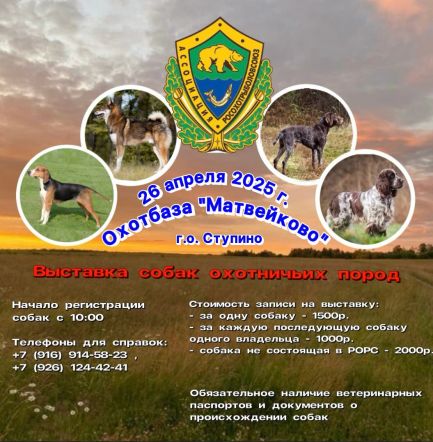ступино выставка ох.